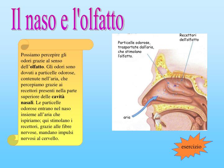 Sentire Odore Di Zolfo Nel Naso