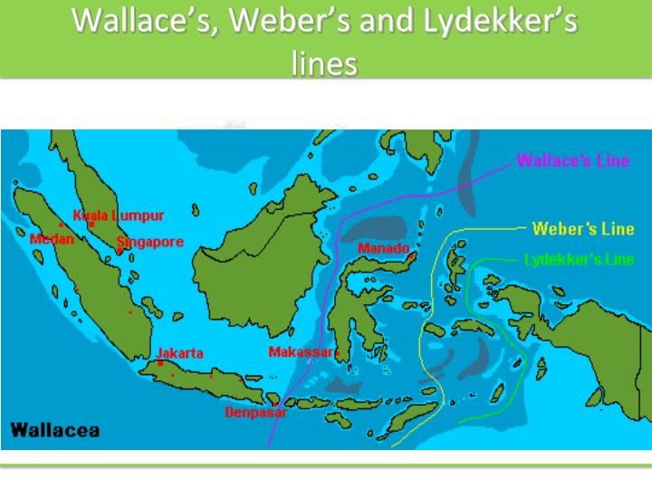 PPT - WALLACE RESOURCE LIBRARY Lecture 06 – Endemism and Biodiversity ...