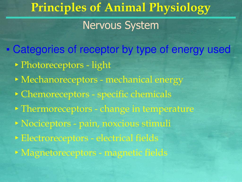 principles of animal physiology pdf