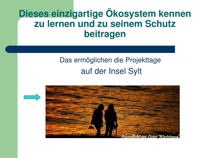 Sylt kennenlernen