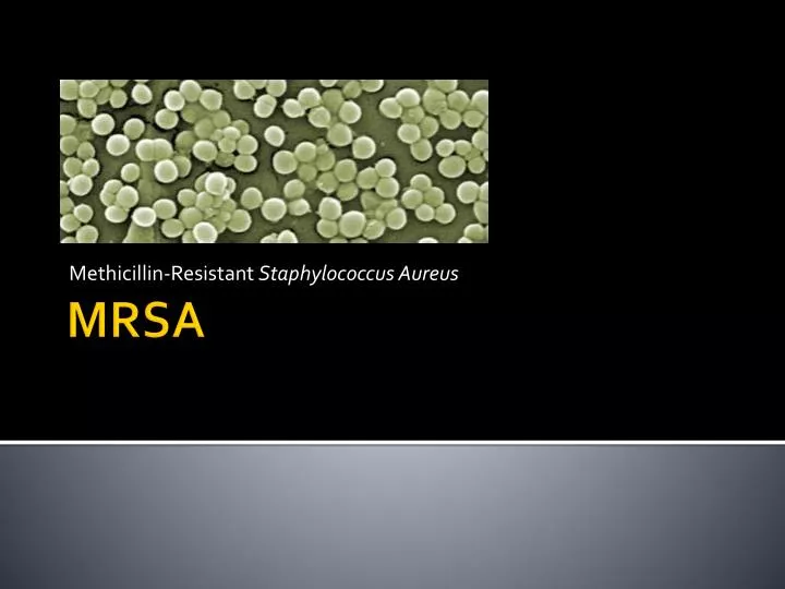 methicillin resistant staphylococcus aureus n.
