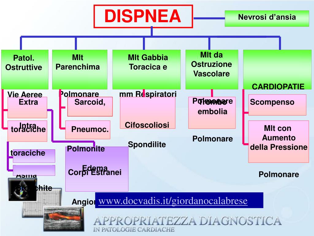 PPT LA DISPNEA PowerPoint Presentation, free download ID5477853