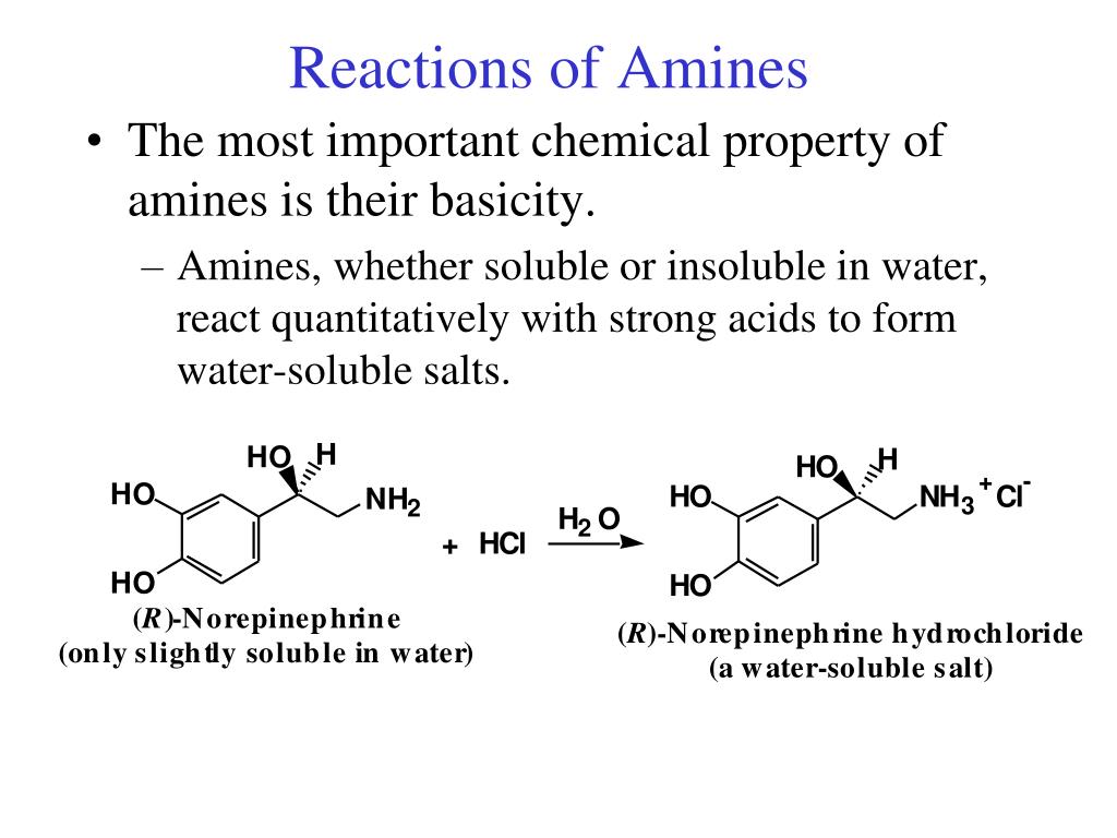 The most important chemical property of amines is their basicity. 