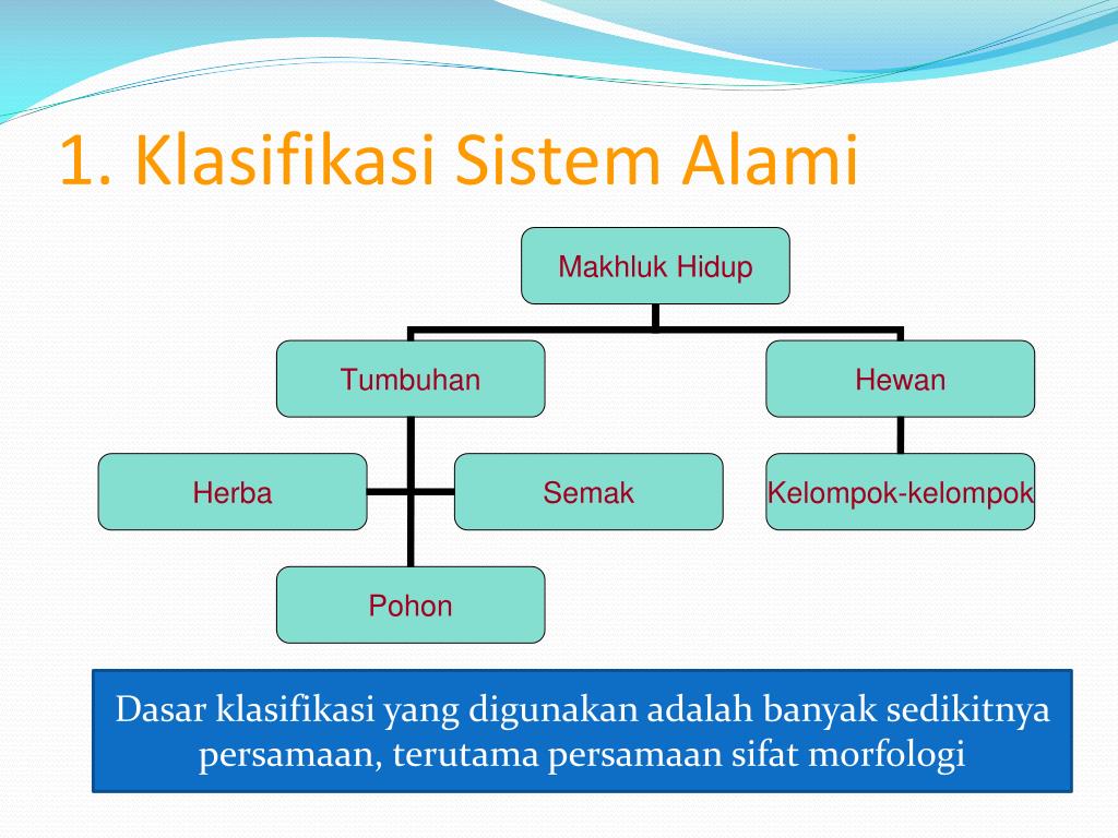 PPT Keanekaragaman dan Klasifikasi  Makhluk Hidup 