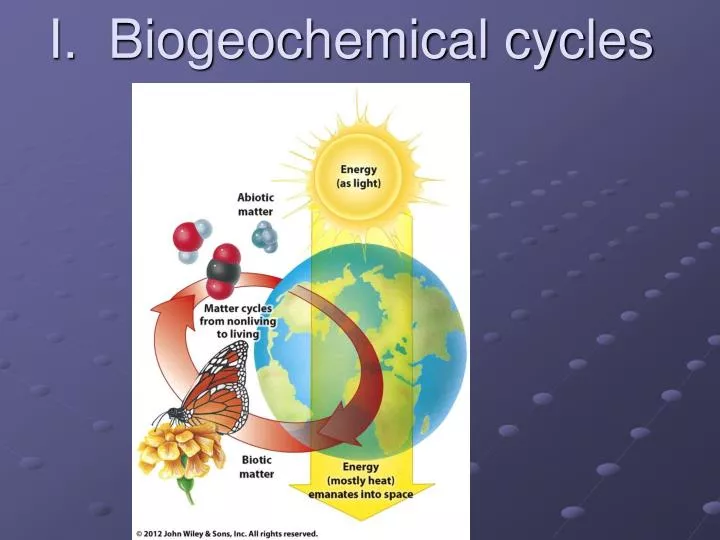 PPT I. Biogeochemical cycles PowerPoint Presentation, free download