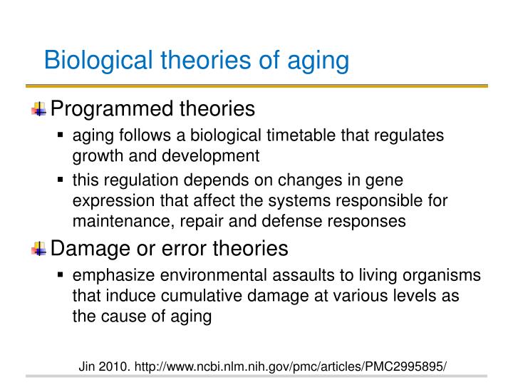 what are the four biological theories of aging