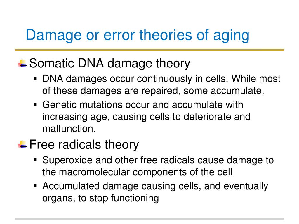 error accumulation theory of aging