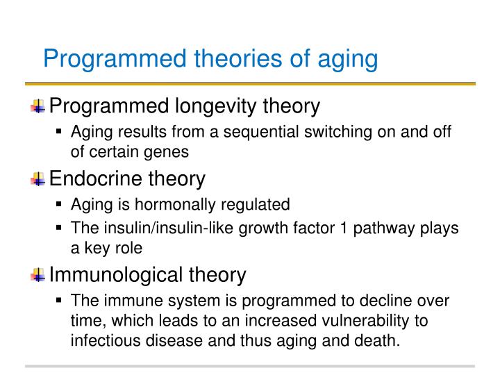 the three main theories of aging include