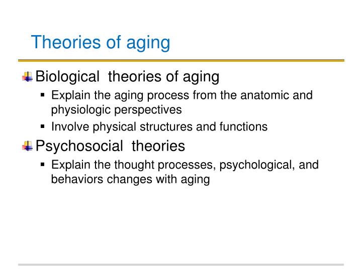 what are the 3 biological theories of aging