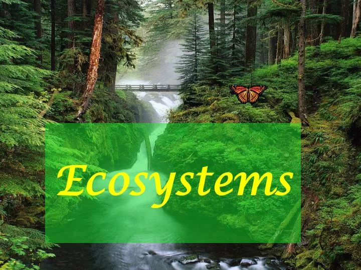 ecosystem ppt presentation download