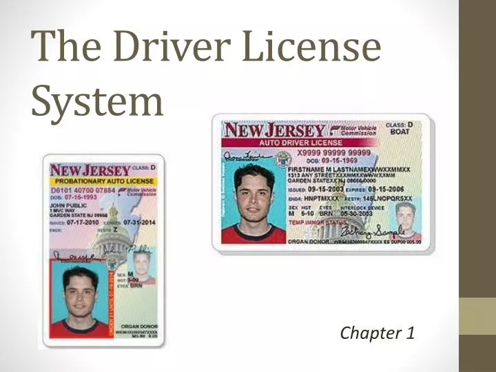the driver license system n.