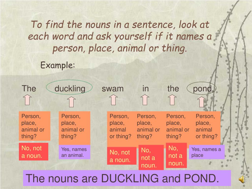 PPT - NOUNS IN SENTENCES PowerPoint Presentation, free download - ID:5482989