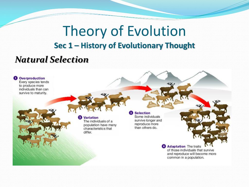 the history of evolutionary theory assignment