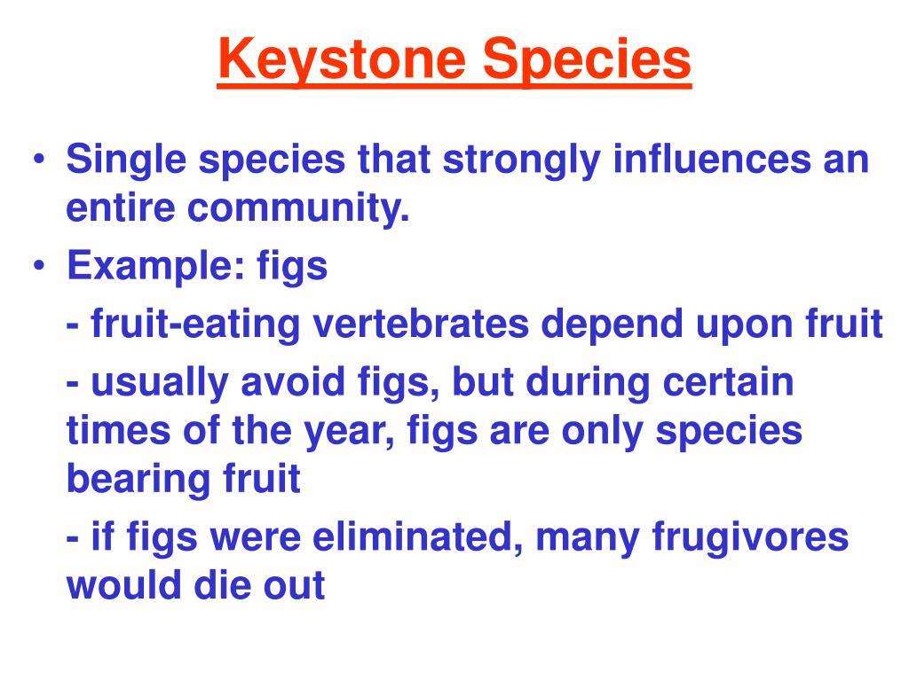 ecotone biodiversity ecotone biodiversity