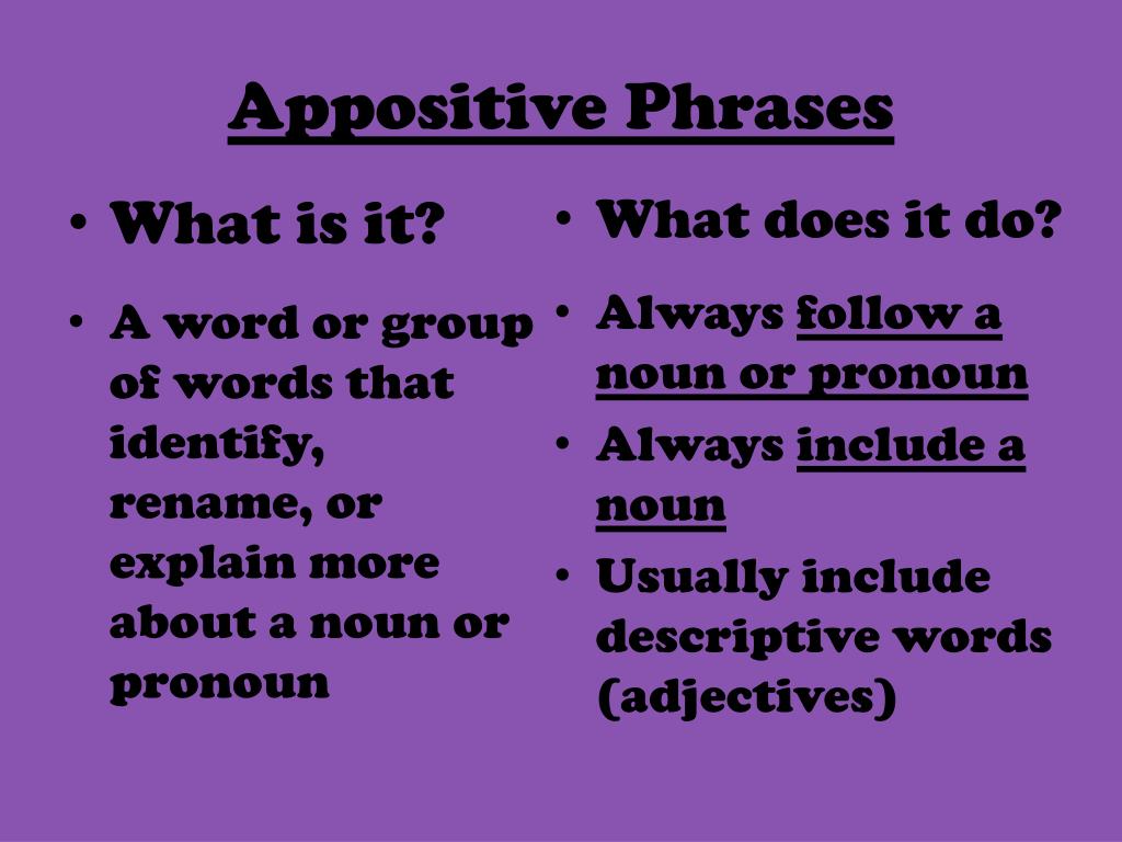 appositive-phrases-practice-1-7-the-monster-ate-my-little