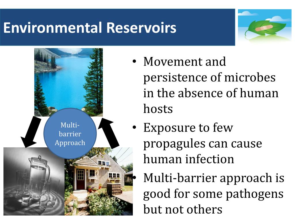 PPT Source Water, Environment, and Disease Risk in North American