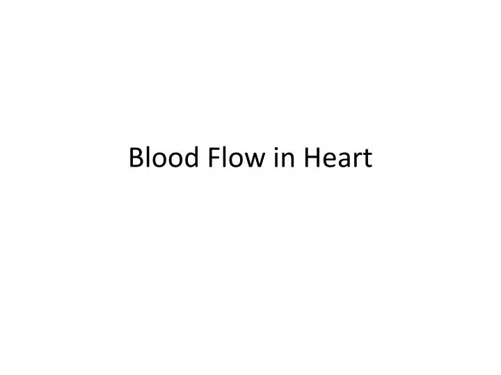 blood flow in heart n.