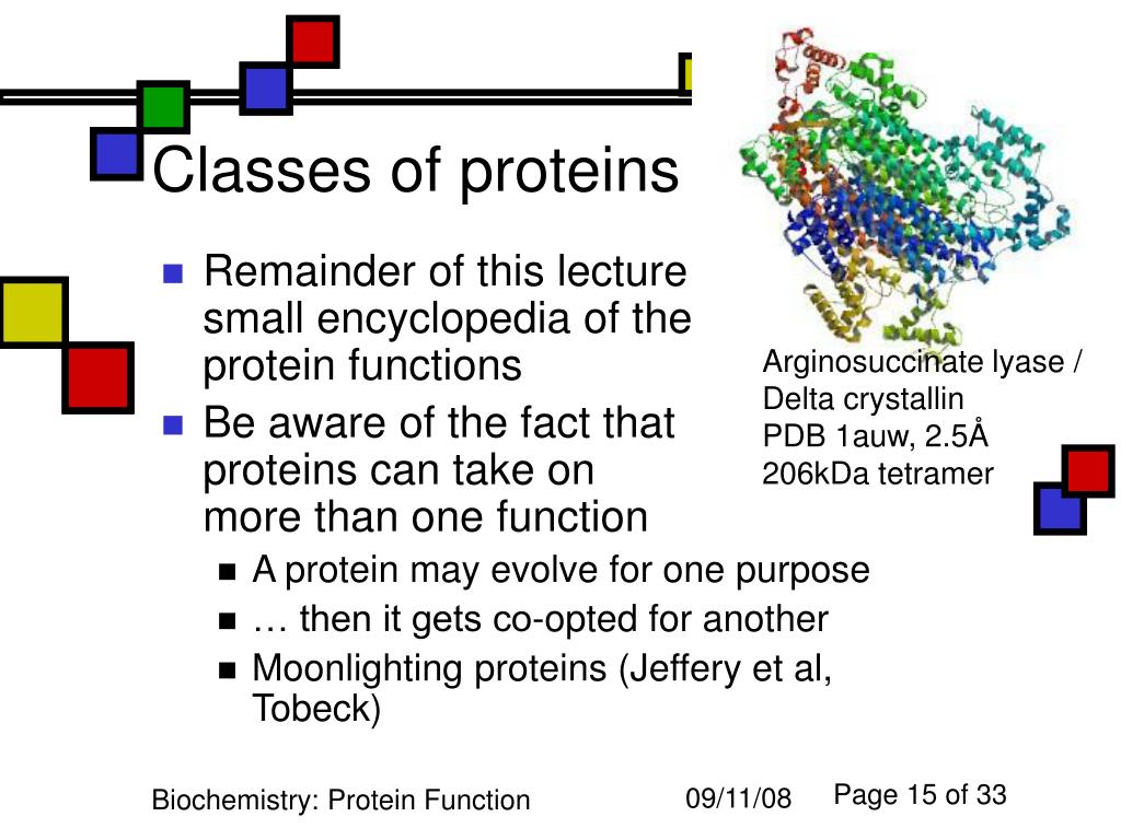 Ppt Protein Function Powerpoint Presentation Free Download Id5488482 5352