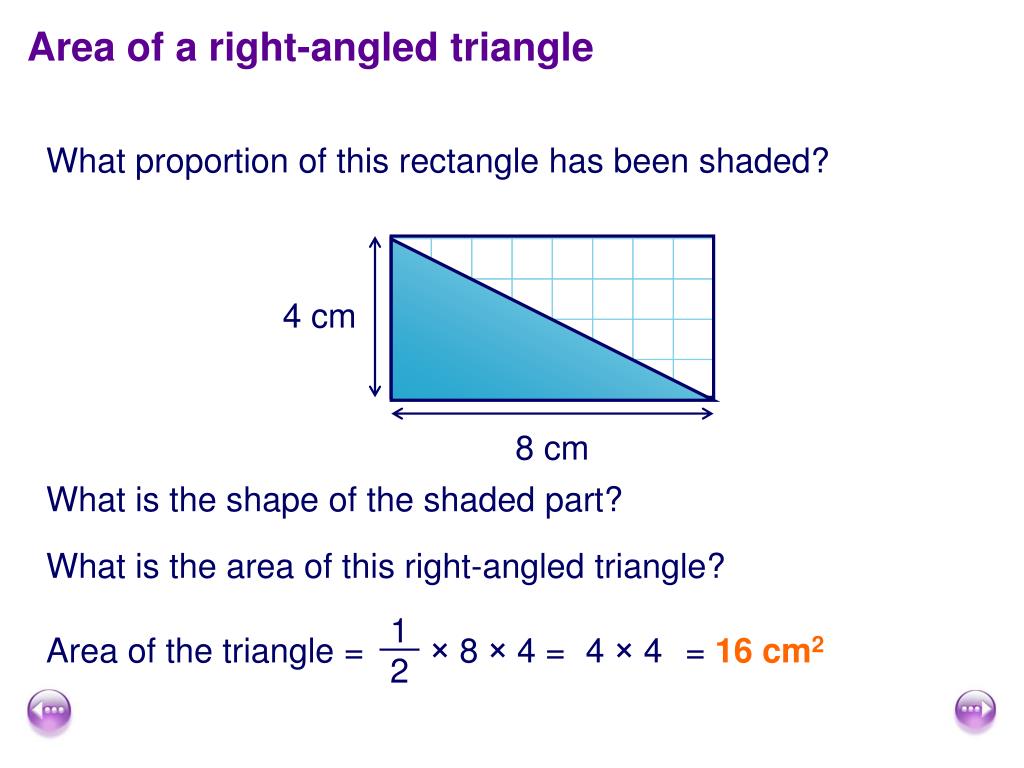 Triangles Shape and Space. Area of a right-angled triangle What proportion  of this rectangle has been shaded? 8 cm 4 cm What is the shape of the  shaded. - ppt download