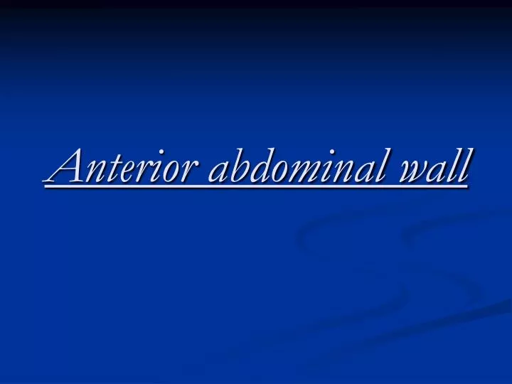anterior abdominal wall n.