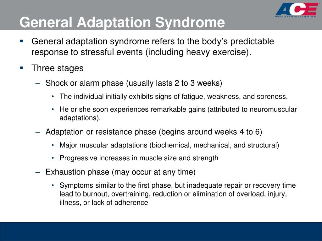 general adaptation syndrome stages