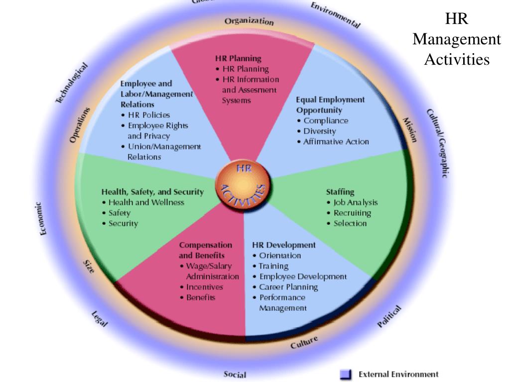 HR активности. HRM (Human resource Management). 5 Directions of HR Section. Management activities