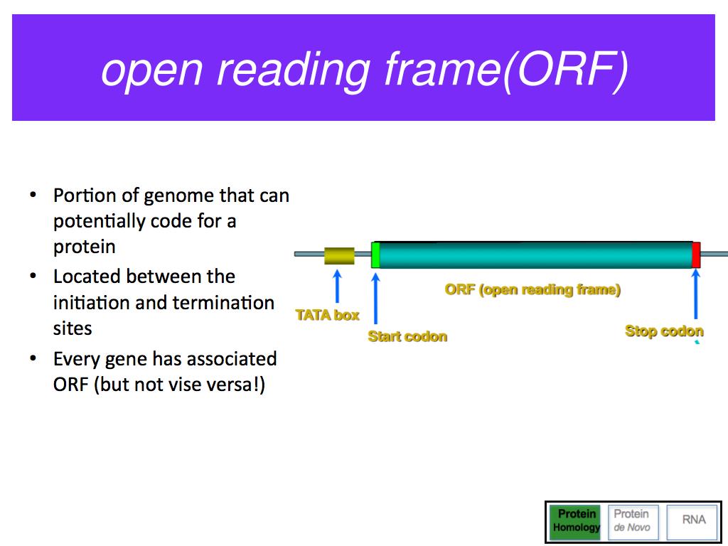 PPT Gene Prediction PowerPoint Presentation Free Download ID 5494810