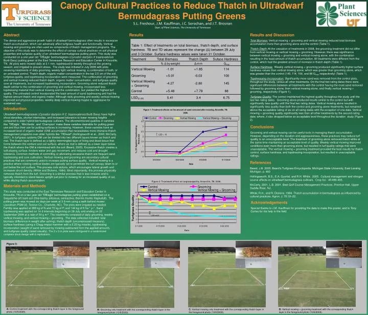 PPT - Canopy Cultural Practices to Reduce Thatch in Ultradwarf ...