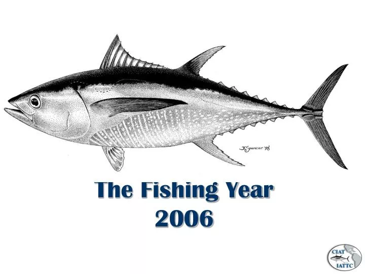 the fishing year 2006 n.