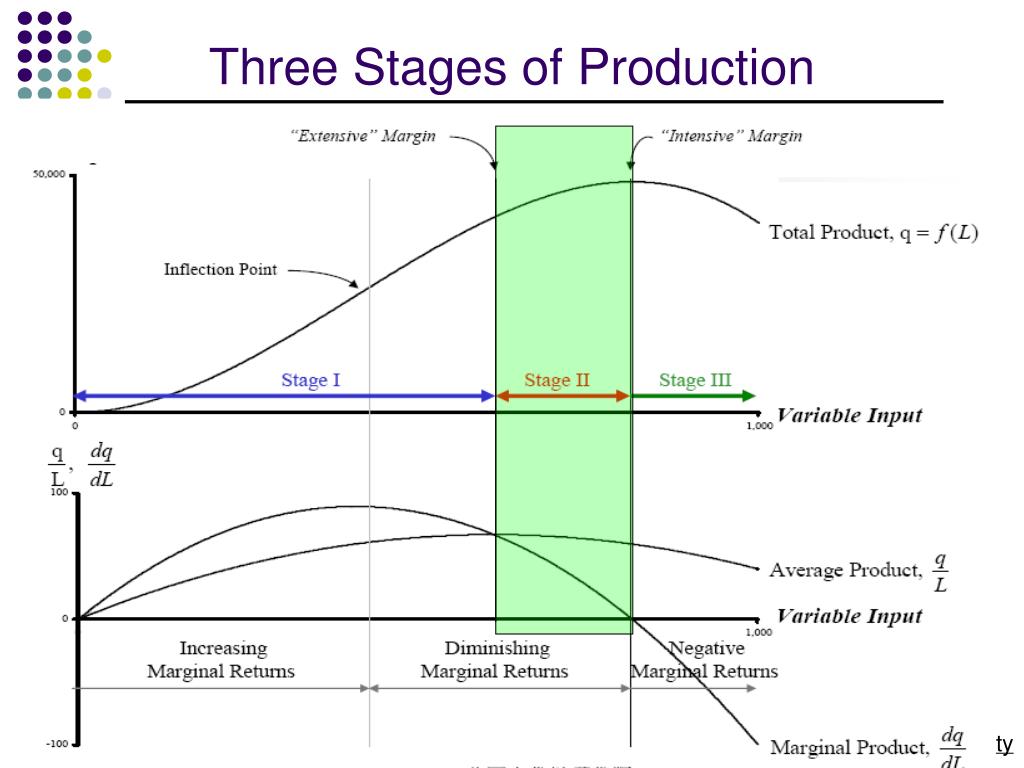 Stages Of Production Function