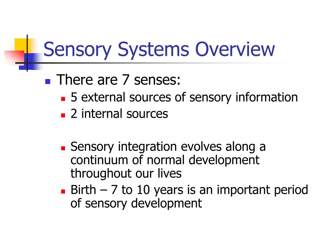 PPT - MAKING THE SENSORY CONNECTION IN THE EARLY YEARS PowerPoint