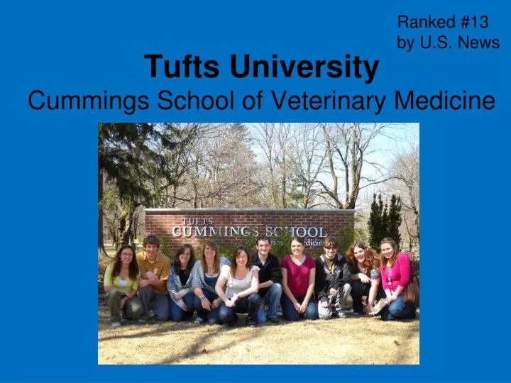 tufts university cummings school of veterinary medicine n.