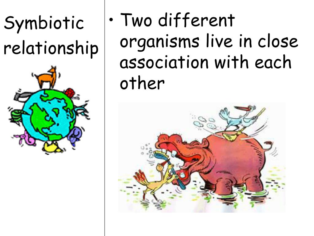 what do you mean by symbiotic association