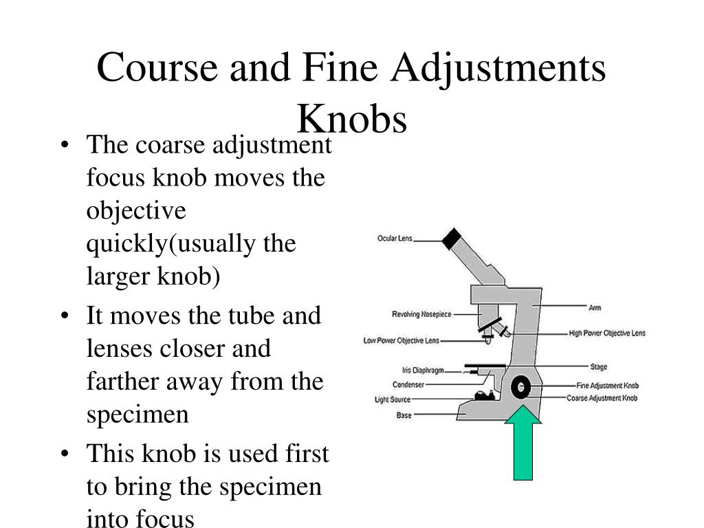 PPT Chapter 15 Specimen Collection And Laboratory Procedures
