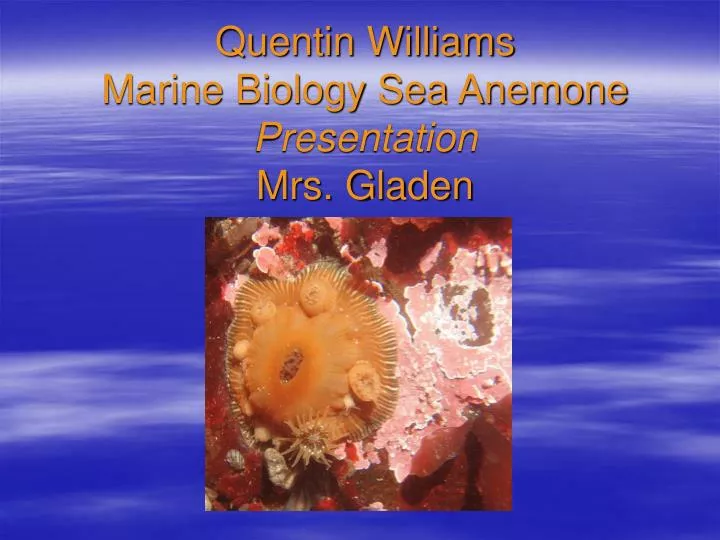 Marine Biology Presentation Marine Biology Presentation