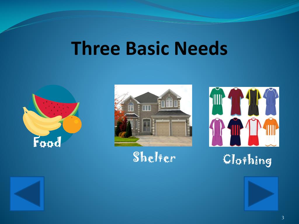 PPT Needs And Wants PowerPoint Presentation Free Download ID 5503604