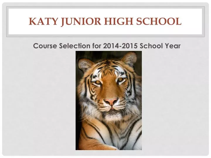 katy junior high school n.