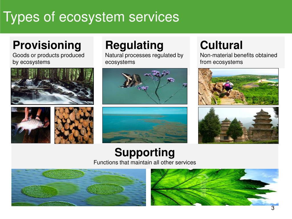 ecosystem services presentation