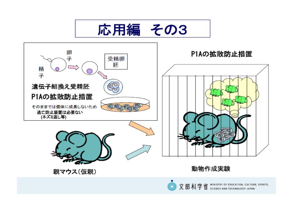 PPT - 遺伝子組換え実験を安全に行うには PowerPoint
