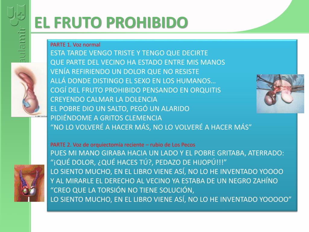 Ppt El Desafío De Magda Powerpoint Presentation Free Download Id 5507351