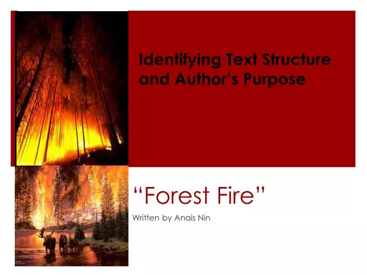 ppt-forest-fire-powerpoint-presentation-free-download-id-5508383