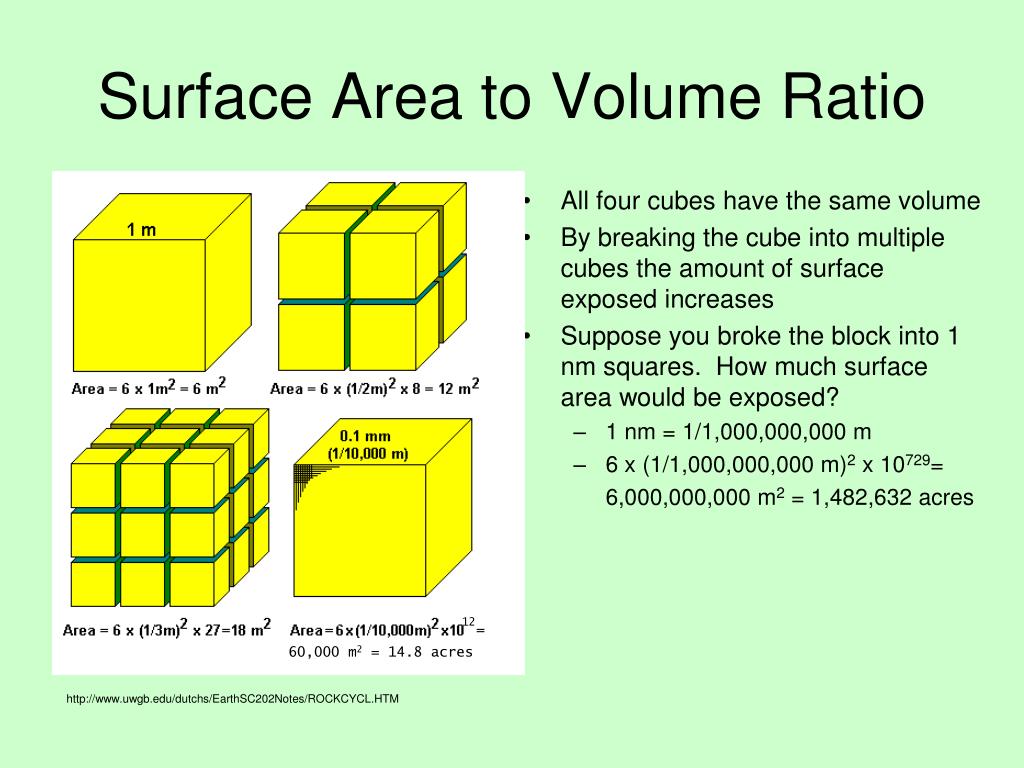 PPT - Surface Area to Volume Ratio PowerPoint Presentation, free download -  ID:5509827