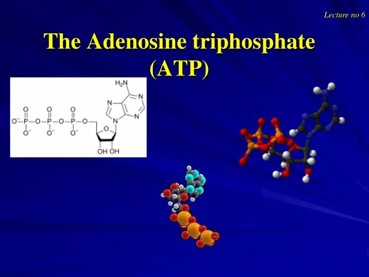 the adenosine triphosphate atp n.