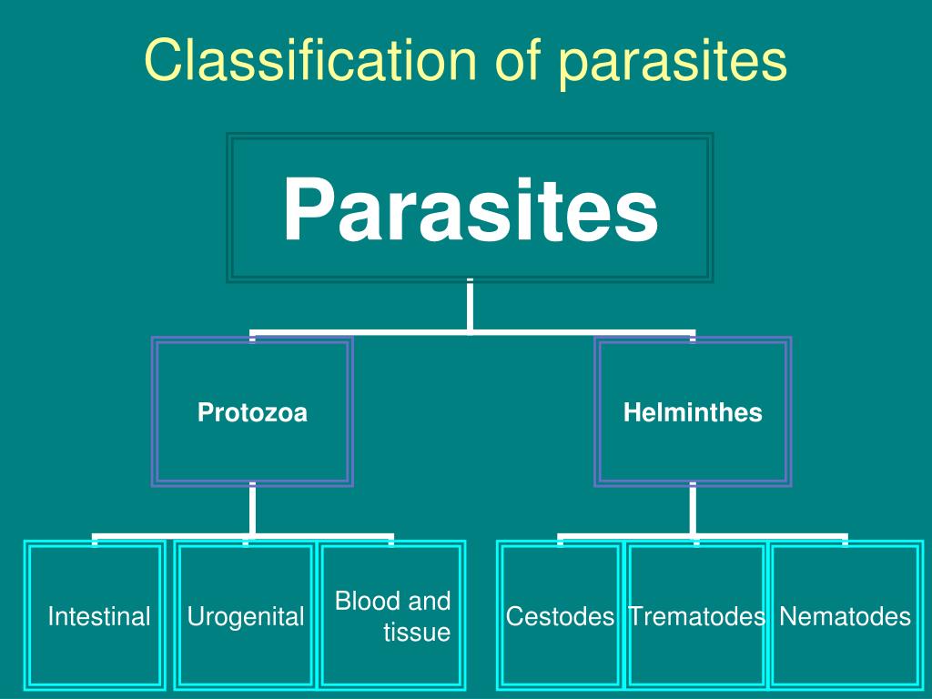 Ppt Introduction To Parasites Powerpoint Presentation Free Download Id 5510485