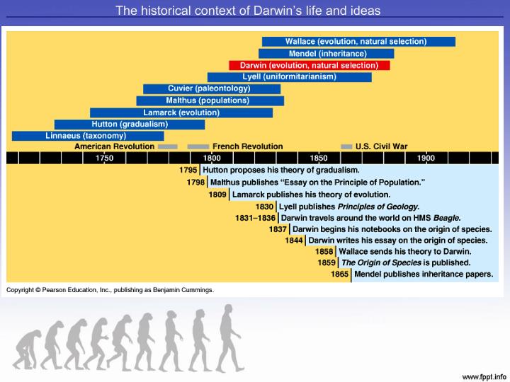 an essay on evolution and darwinim Evolution and creationism saved essays the theory of evolution by natural selection proposed by charles darwin is one of the more prevalent. an essay on evolution and darwinim Evolution and creationism saved essays the theory of evolution by natural selection proposed by charles darwin is one of the more prevalent.