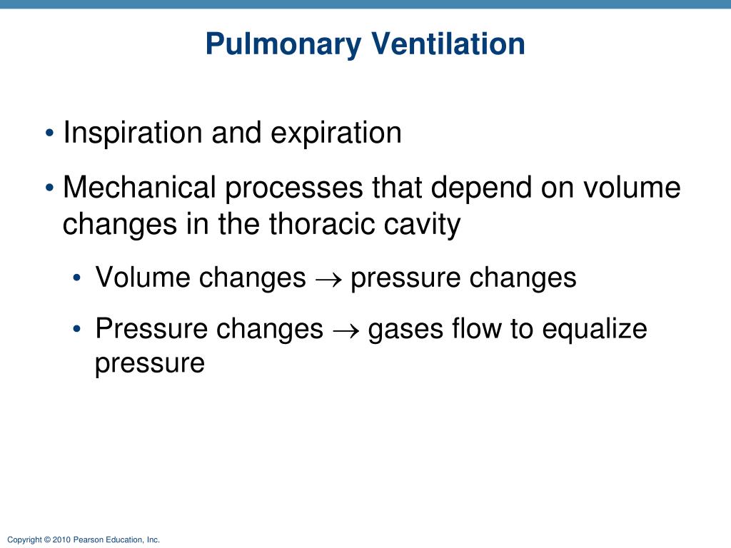 PPT - Marieb Chapter 22: The Respiratory System Part A PowerPoint