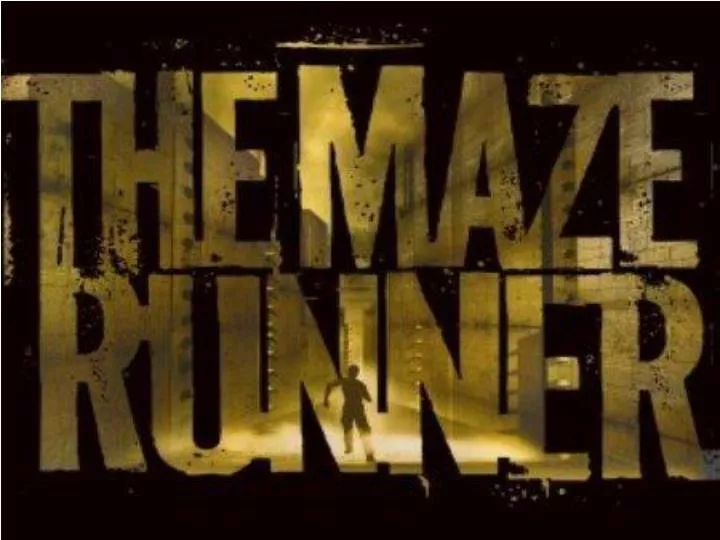 maze runner n.