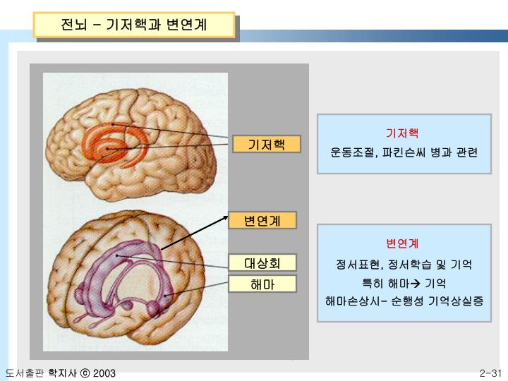 PPT - 신경과학과 행동 PowerPoint Presentation - ID:5513040