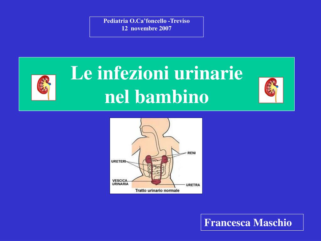 PPT Le infezioni urinarie nel bambino PowerPoint Presentation, free