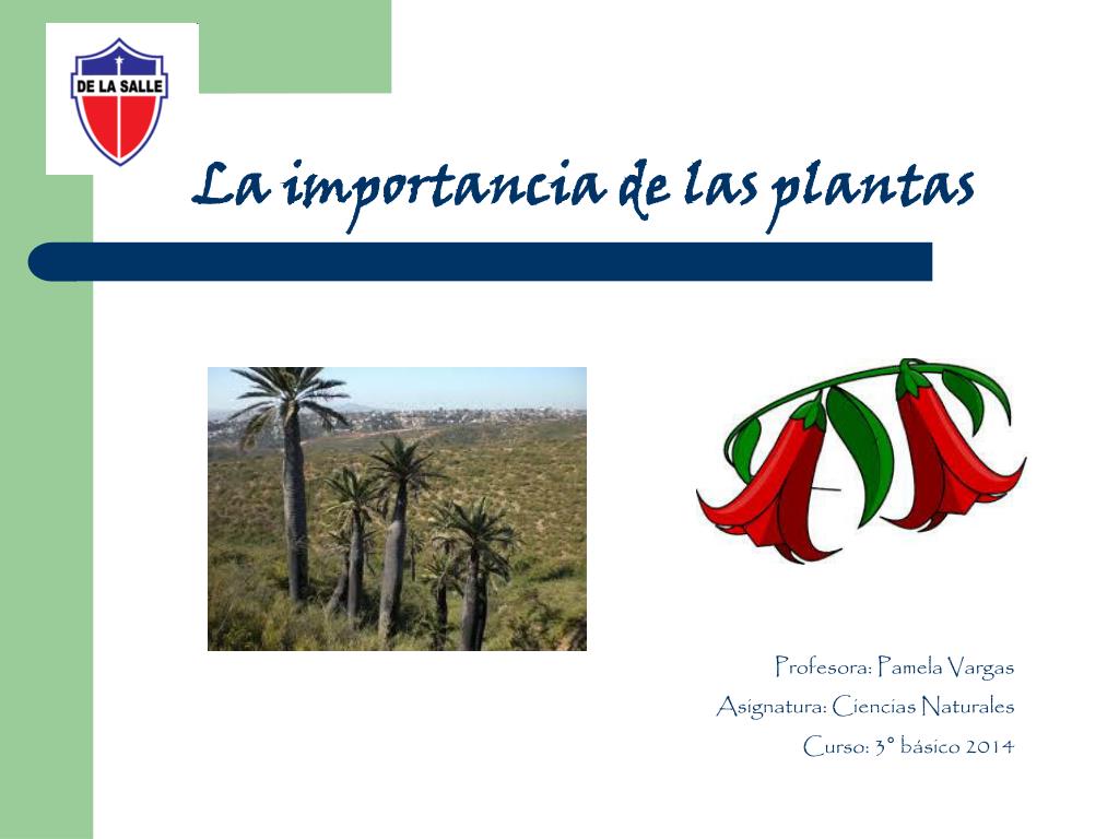 PPT - La importancia de las plantas PowerPoint Presentation, free download  - ID:5516015
